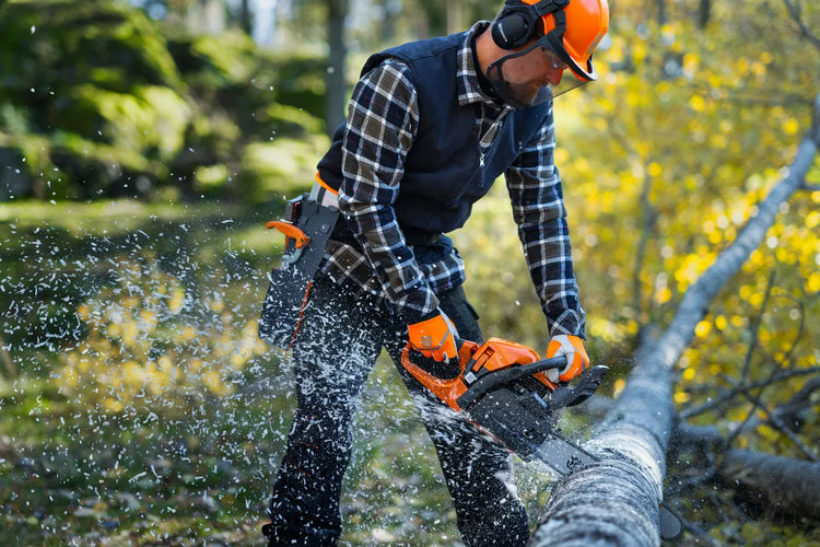 Is It Better to Buy or Rent a Chainsaw?